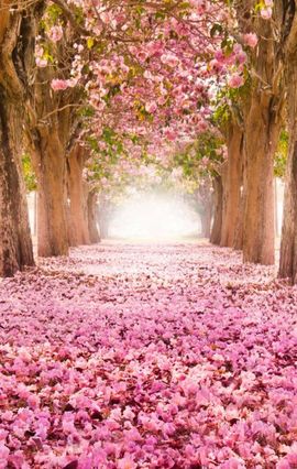 昵称违规，请重新修改主播照片