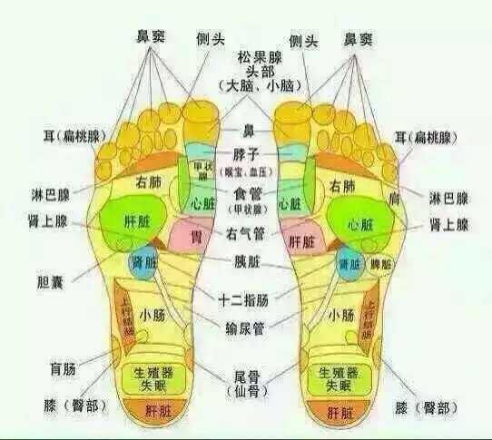 昵称违规，请重新修改的主播照片