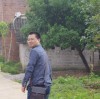 Sunnyzuv海报