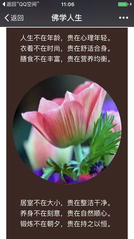 冰爷守护辰宝主播照片