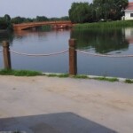 我爱存海报