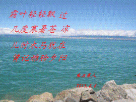 朱石寒人主播照片