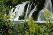 娜宝专属～笨笨海报
