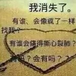 沉默的蔷薇