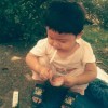 提示：zl
