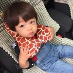 木奉棒不寔糖