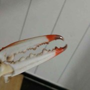 秋勇扬帆海报