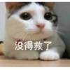 🉐小颜32号去找妳