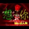美丽人生q*z