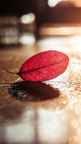 那年的你好美我很年轻主播照片