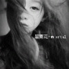 傻傻，笨蛋猪___i