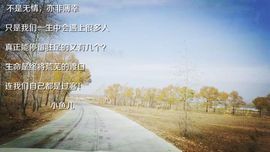 小鱼儿小白鲨主播照片