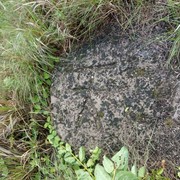 西山日落无人陪海报