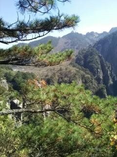 小八呱vs影子主播照片