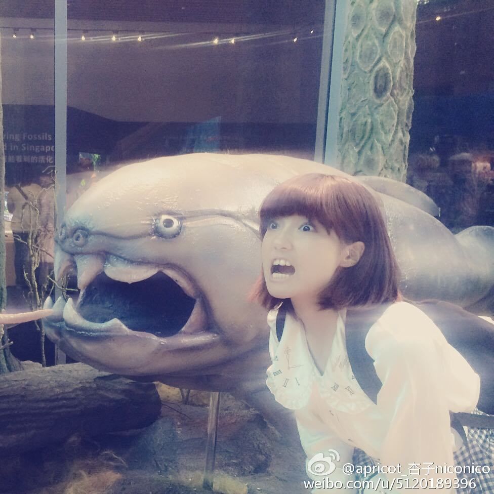 習慣有妮的图片