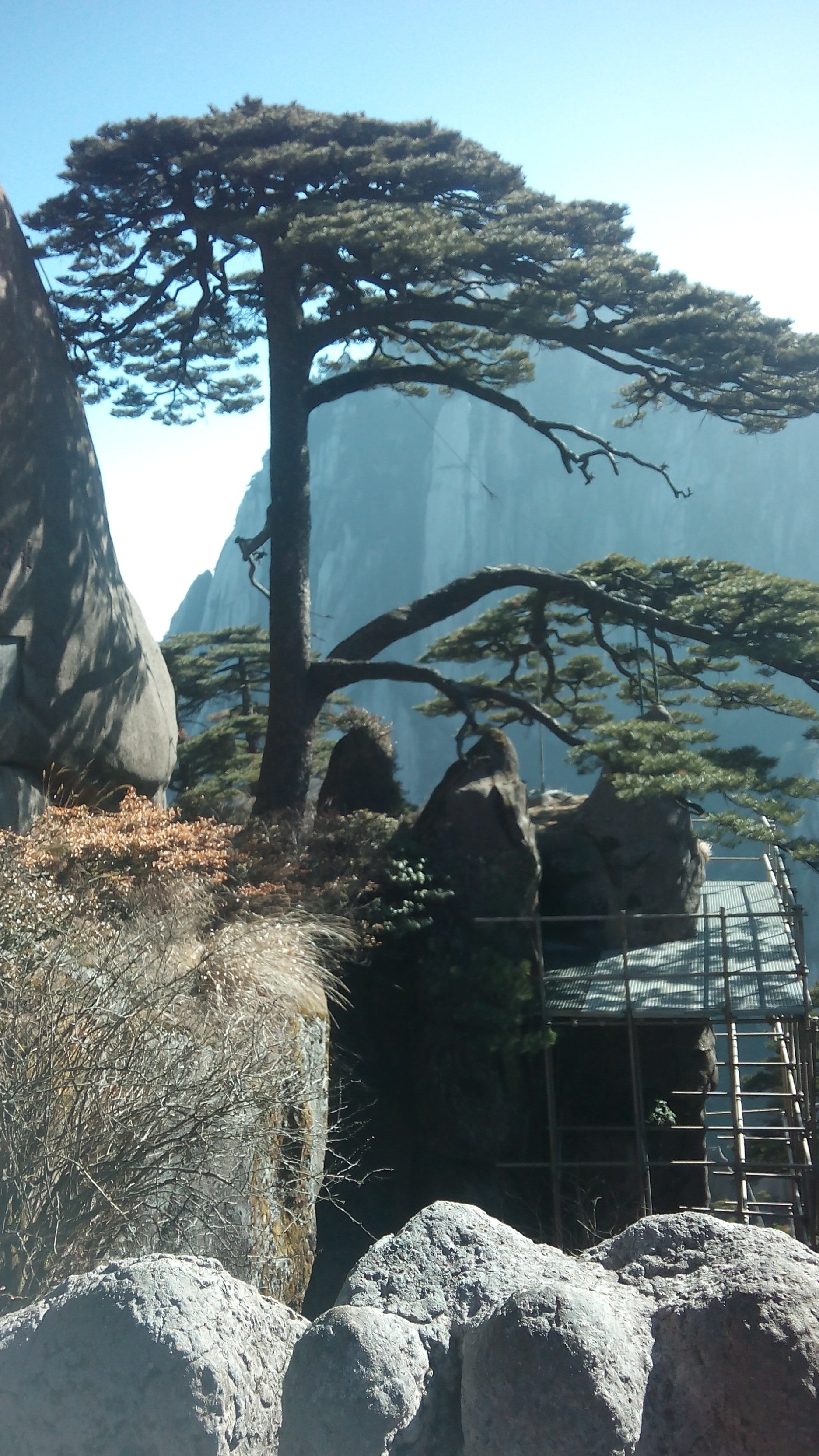 黄山帅哥主播照片