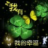 我疲惫鍀《997》海报