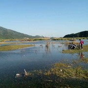 微信_5831736