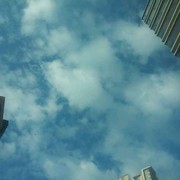 一切￡随缘海报