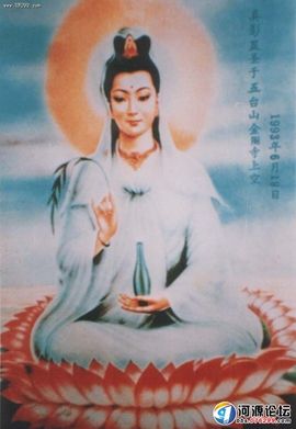 永远挂号主播照片