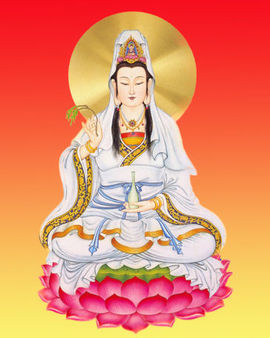 永远挂号主播照片