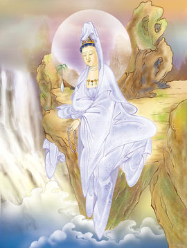 永远挂号主播照片