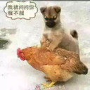 灬l苦咖啡海报