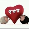 老农民v
