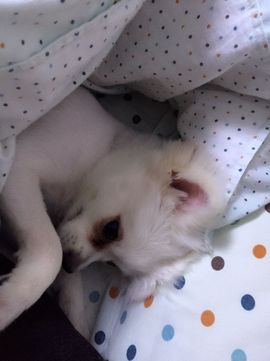 嘚瑟💗主播照片