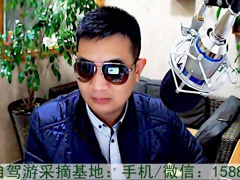 临海涌泉缘满园蜜桔的主播照片