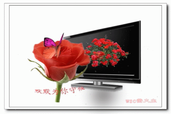 六柳楼的主播照片