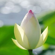 微信_6769999海报