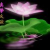 清馨的感觉
