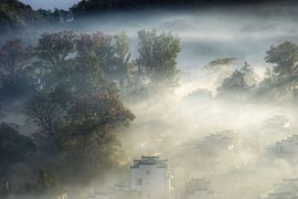 昵称违规，请重新修改主播照片