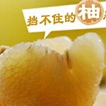 邂逅勇哥海报