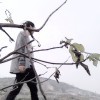 依然守候丶