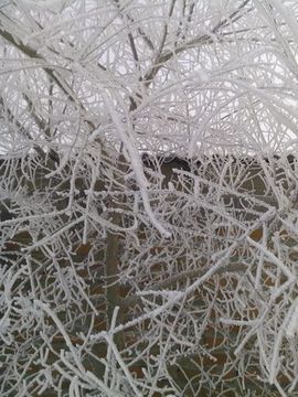 。。无语。。主播照片