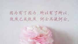 菲颜，浅笑主播照片