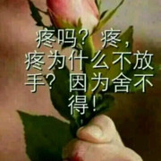 美女请文明躺好