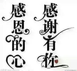一秒钟の记忆主播照片