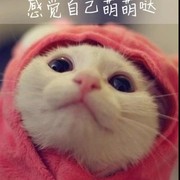 同学你姨妈来了