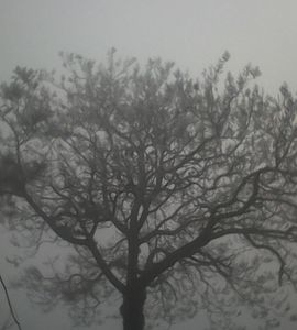我的親親主播照片