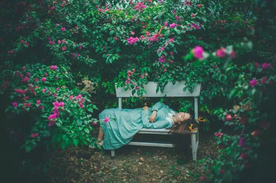 桂林花海景区的主播照片