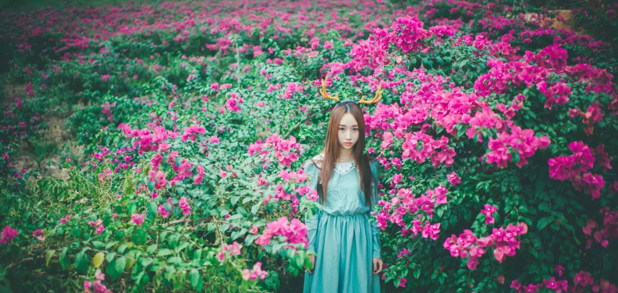 桂林花海景区的主播照片