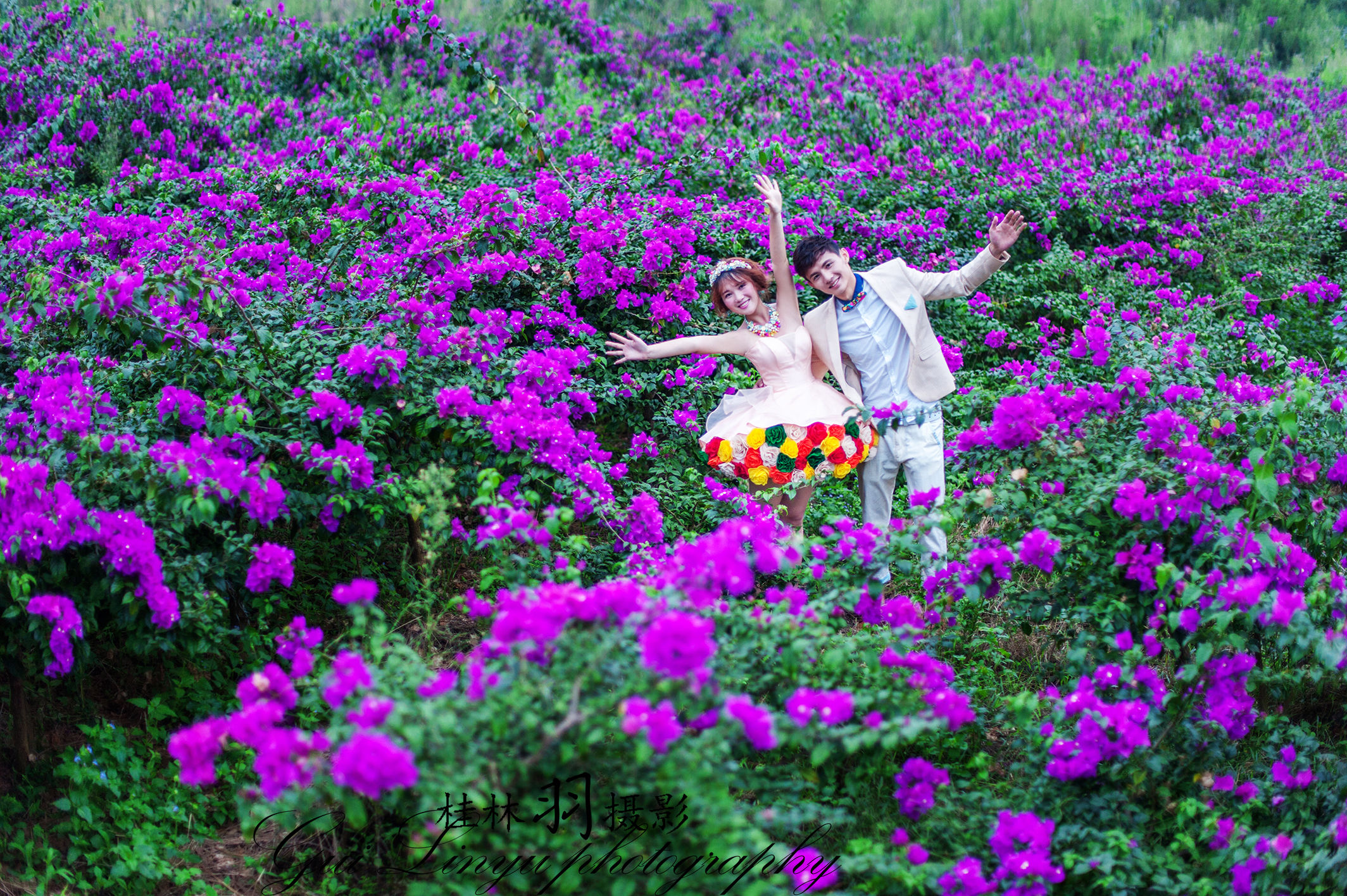 桂林花海的主播照片