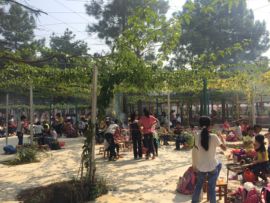 花海旅游主播照片