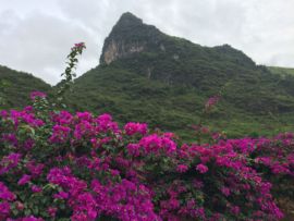 花海旅游主播照片
