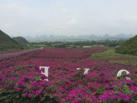 花海旅游主播照片