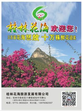 花海旅游主播照片