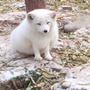 😪别扯犊子了